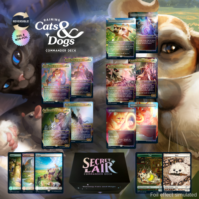 mtg rin and seri commander deck MTG Commander Deck EDH Deck Rin and Seri, Inseparable 100 Magic Cards  Custom Deck Cats Dogs Kindred Changelings