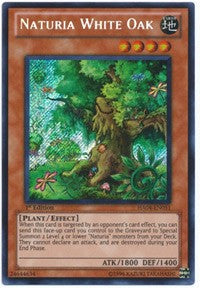 Naturia White Oak [HA04-EN051] Secret Rare