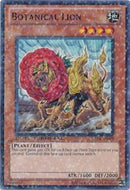 Botanical Lion [DT04-EN009] Common