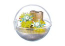 Pokemon Terrarium Collection - Coil