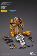 Warhammer 40K: Imperial Fists Bladeguard Veteran