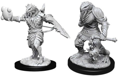 Nolzurs Marvelous Dragonborn Paladin Male