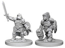 Nolzurs Marvelous Dwarf Female Paladin