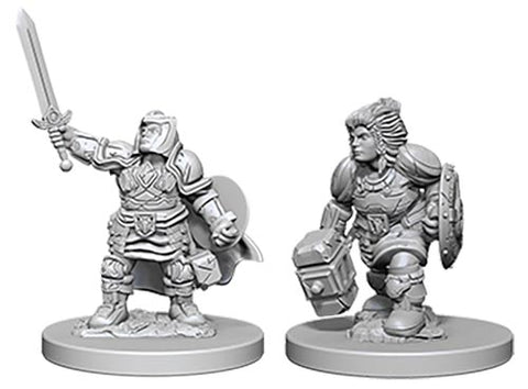 Nolzurs Marvelous Dwarf Female Paladin