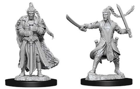 Nolzurs Marvelous Elf Paladin Male