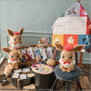 Pokémon EIEVUI ＆ COLORFUL ART