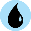 Round 20 Roulette: Zendikar Rising Blue Collector Booster