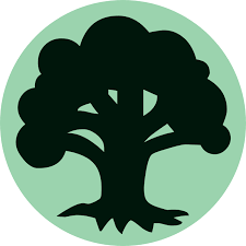 Round 20 Roulette: Zendikar Rising Green Collector Booster