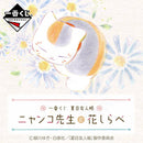 NATSUME'S BOOK OF FRIENDS - NYANKO SENSEI AND FLOWER MELODY -