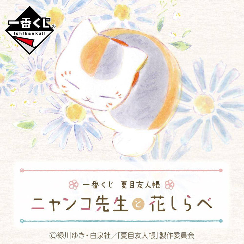 NATSUME'S BOOK OF FRIENDS - NYANKO SENSEI AND FLOWER MELODY -